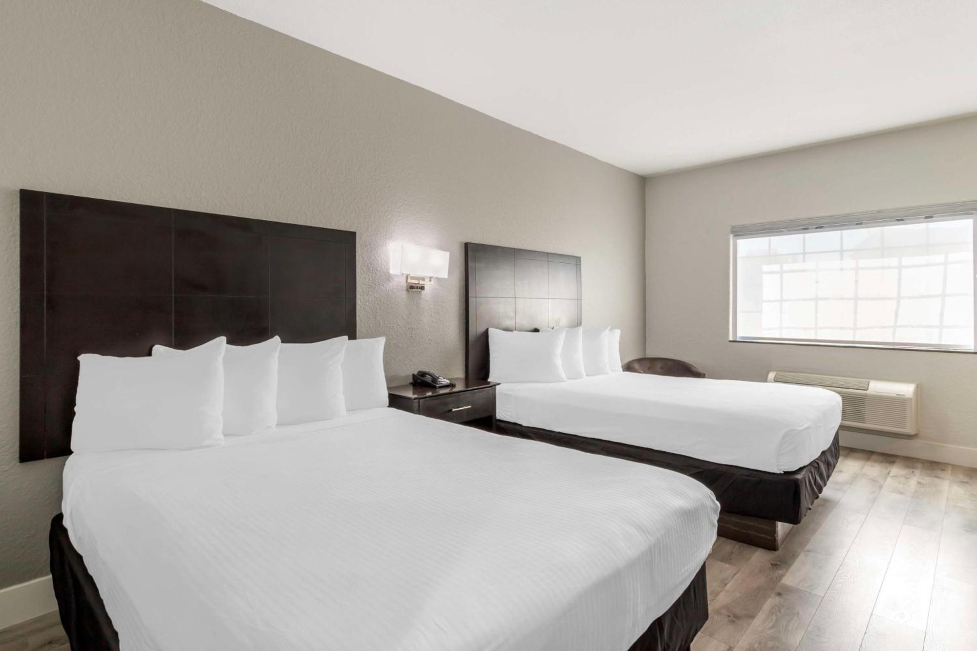 Surestay Plus By Best Western Texas City I-45 Buitenkant foto